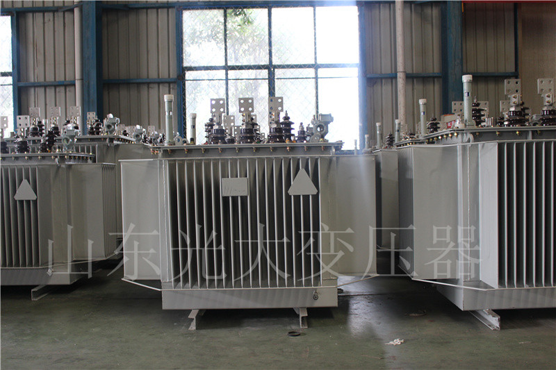 道孚S20-500KVA/10KV